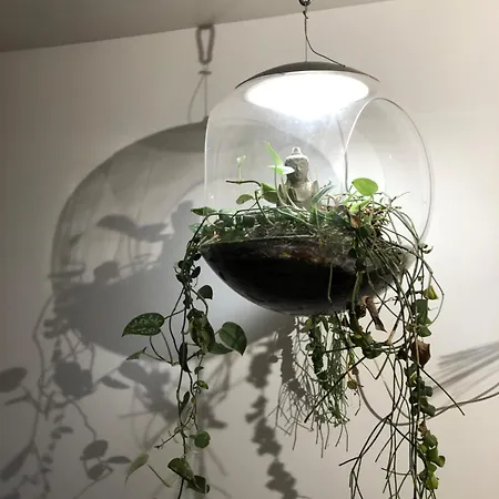 Charming House, Calm Garden In The Center Of Apartament *